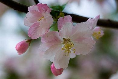 QuakeCon 2023宣布于8月10日至13日举行